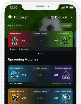 Fantasy Crick - Fantasy League Contest Cricket App, Cricket Fantasy App at opus labworks